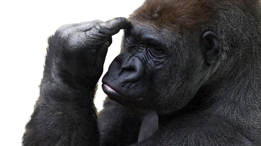 Differentiating Legal Marketing Providers – Bigger is Not Always Better