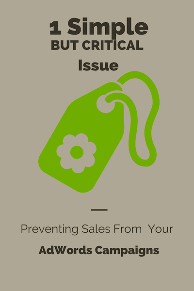1 Simple (But Critical) Issue Preventing Sales From Your AdWords Campaigns