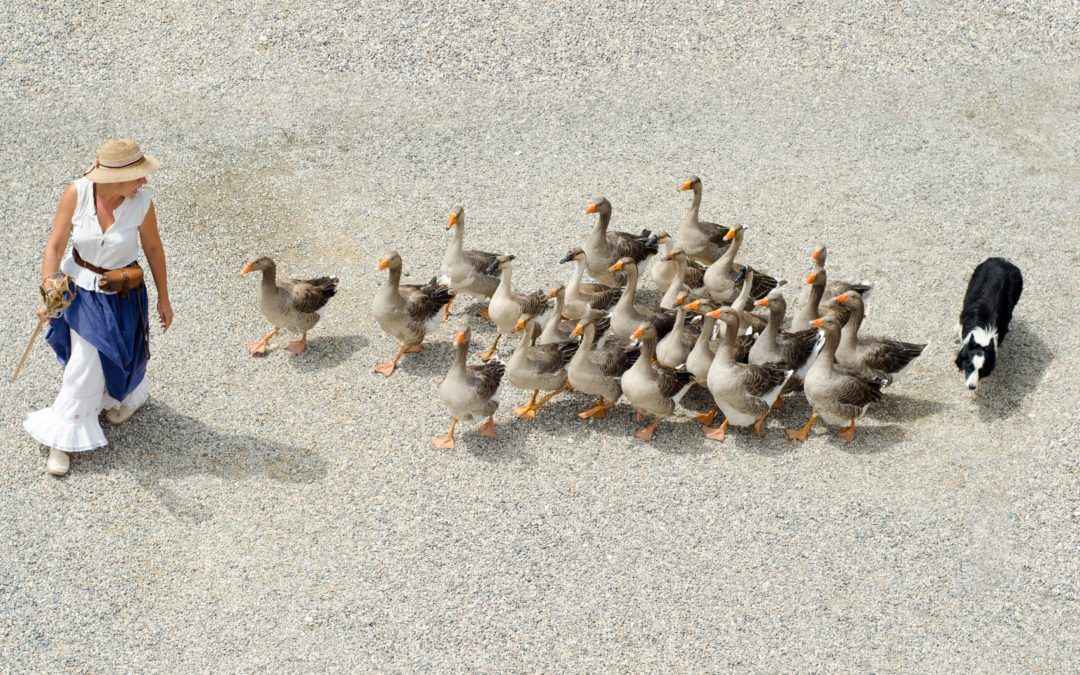 Should You Use a Content Subscription Service for Your Website?